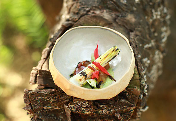 Food caterers in Delhi NCR, Food caterers in Gurgaon, Food caterers in Noida, Food caterers in South Delhi