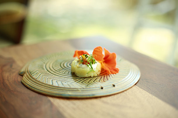 Food caterers in Delhi NCR, Food caterers in Gurgaon, Food caterers in Noida, Food caterers in South Delhi